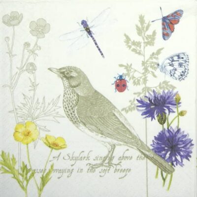 Paper Napkin - Summer Letter