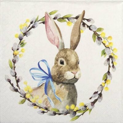 Lunch Napkins (20) - Rabbit with Catkins