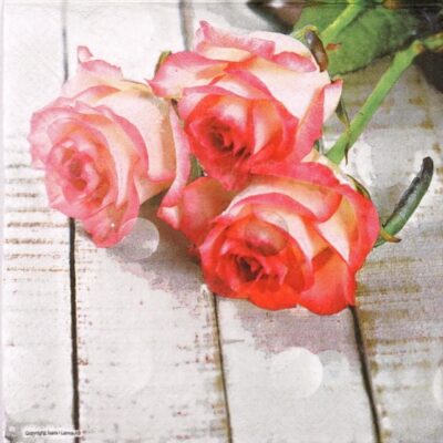 Lunch Napkins (20) - Three Red Roses