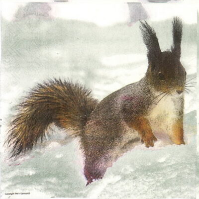 Paper Napkin - Squirrel