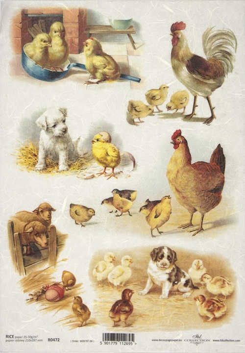 Rice Paper – Easter Chicken Farm