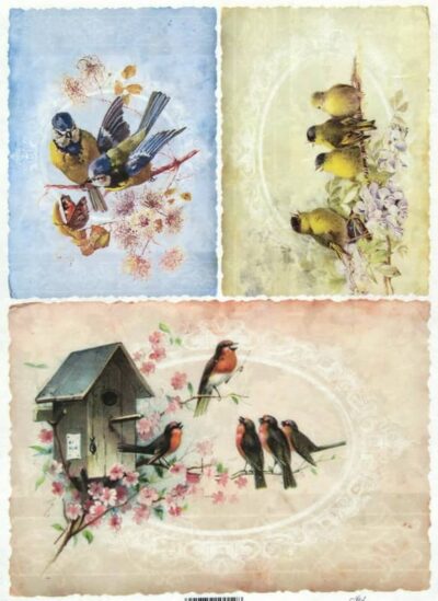 Rice Paper - Birds in Nest
