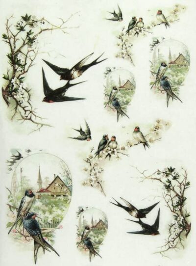 Rice Paper - Swallow Family 2-