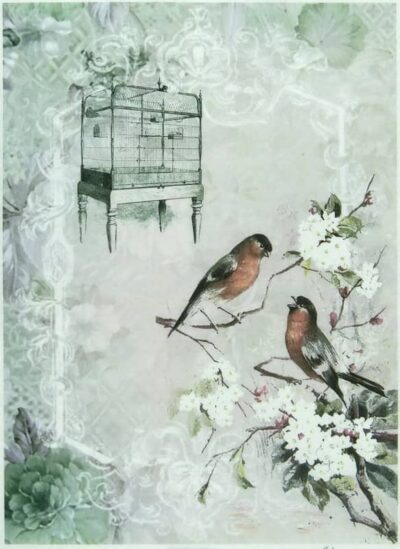 Rice Paper - Romantic Bird Cages