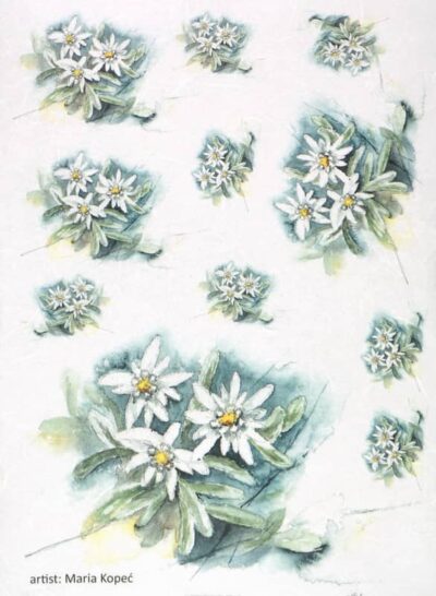 Rice Paper - Painted Flower Jasmine