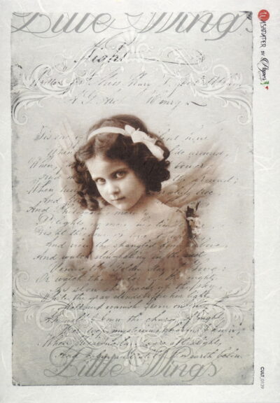 Rice Paper - Little wings sepia (22 x 32cm)