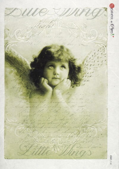 Rice Paper - Little wings green (22 x 32cm)