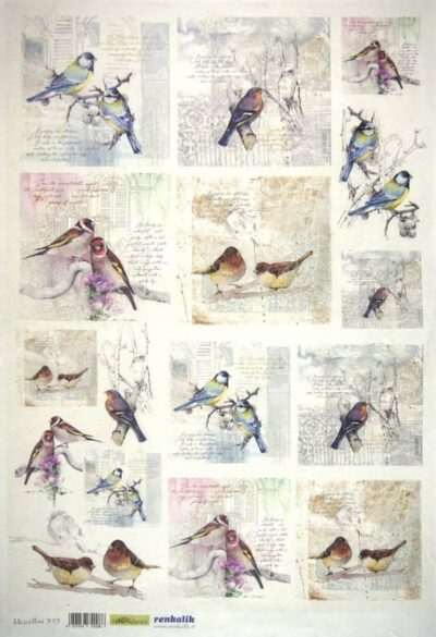 Rice Paper - Uccellini 35x50cm