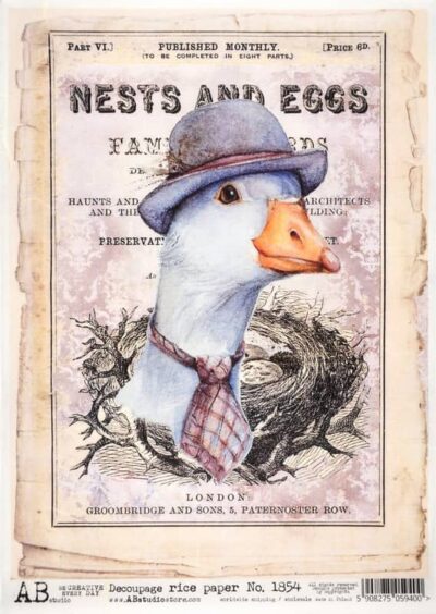 AB Studio Decoupage Rice Paper A/4 - Duck Hat Fashion - 1854
