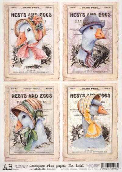 AB Studio Decoupage Rice Paper A/4 - Duck Hat Fashion - 1860