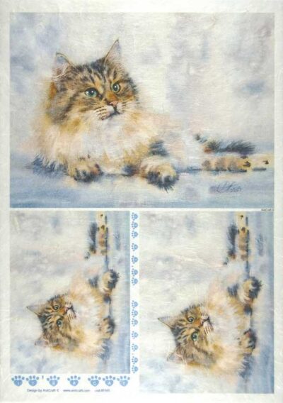 Rice Paper - Welcome Cats 32x45cm