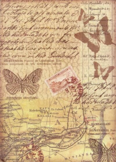 Stamperia A4 Decoupage Rice Paper - Manuscripts Butterfly - DFSA4019