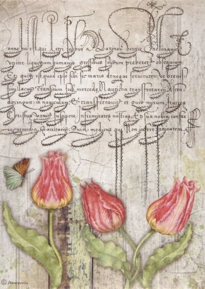 Rice Paper - Romantic Garden House tulips - DFSA4666