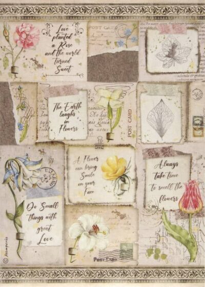 Rice Paper - Romantic Garden House columbin - DFSA4669