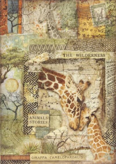 Rice Paper - Savana giraffe - DFSA4685