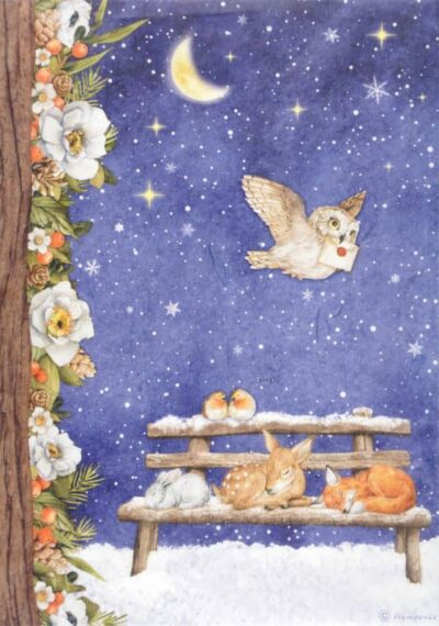 Stamperia Rice Paper A4 - Winter Valley Sweet Night DFSA4800