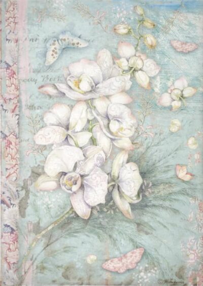 Stamperia Rice Paper A4 - Orchids And Cats - White Orchid - DFSA4848