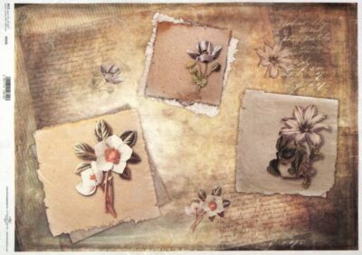 Rice Paper Decoupage - Vintage Still Life R1120