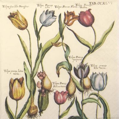Paper Napkin - Spring Flowers