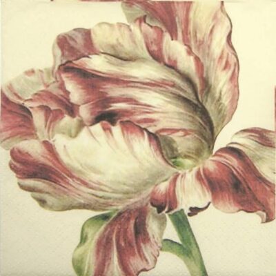 Lunch Napkins (20) - Tulip
