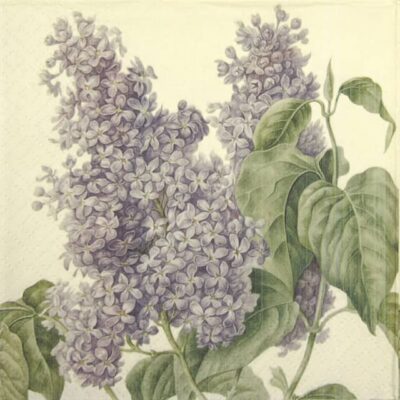 Paper Napkin - Lilac Flower