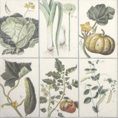 Paper Napkin - Vegetables