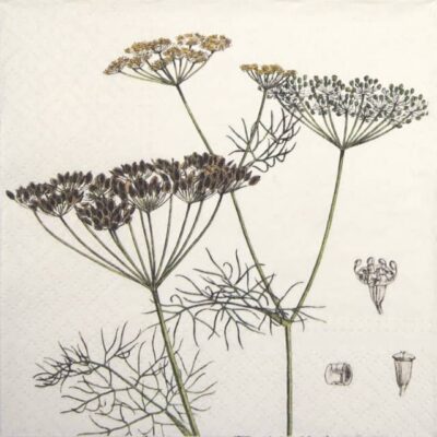 Paper Napkin - Dill