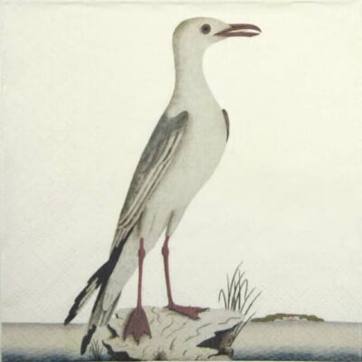 Lunch Napkins (20) - Seagull