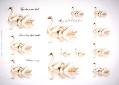Rice Paper - Swans 32x45cm