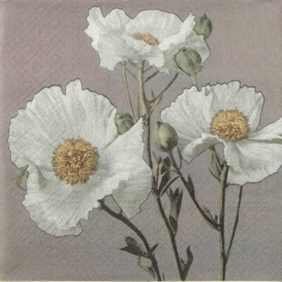 Single Paper Napkin - White poppy