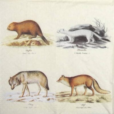 Lunch Napkins - Nordic animals (25 pieces)