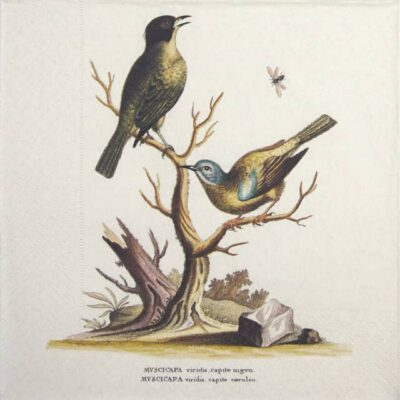 Lunch Napkins (25) - Singing Birds