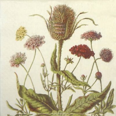 Lunch Napkins - Flowerfield (25 pieces)