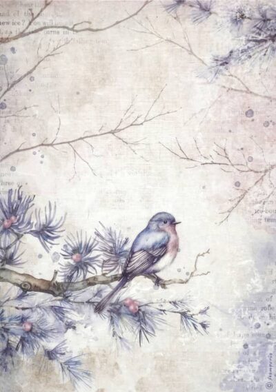 Stamperia Rice Paper A4 - Create Happiness Dewdrops bird - DFSA4973