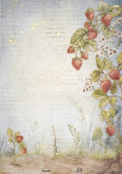 Stamperia Rice Paper A4 - Hidden Grove - Strawberries