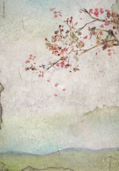 Stamperia Rice Paper A4 - House of Roses - Branch