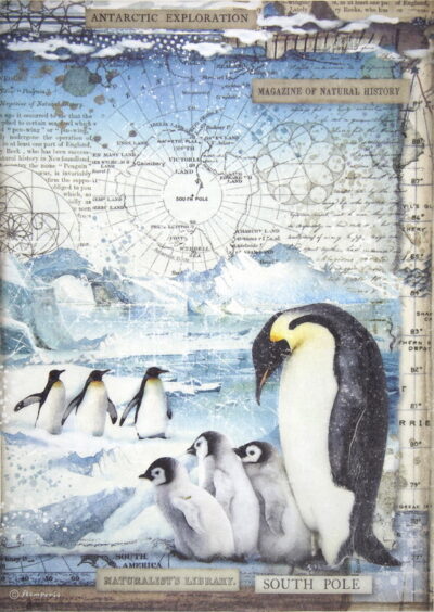 Rice Paper - Penguins - DFSA4479