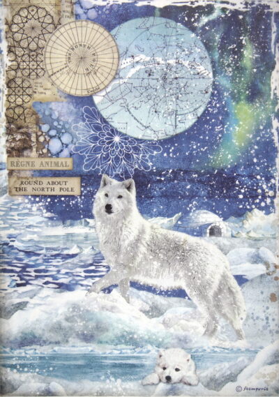 Rice Paper - Wolf - DFSA4480
