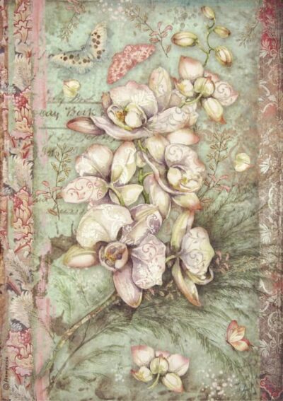 Rice Paper - White Orchid - DFSA4508