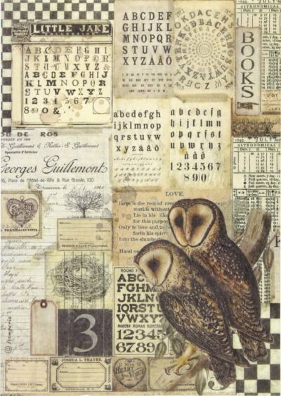 Rice Paper - Alchemy owls - DFSA4664