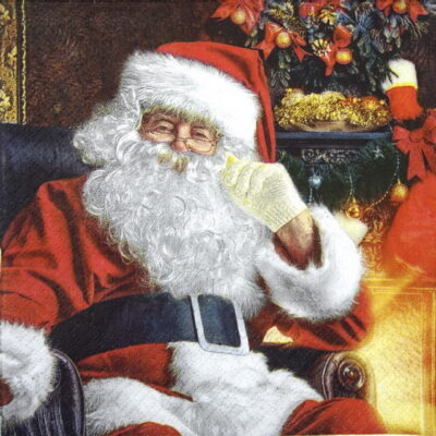 Lunch Napkins (20) - Santa at Home