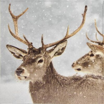Lunch Napkins (20) - Red Deer in Winter Scene