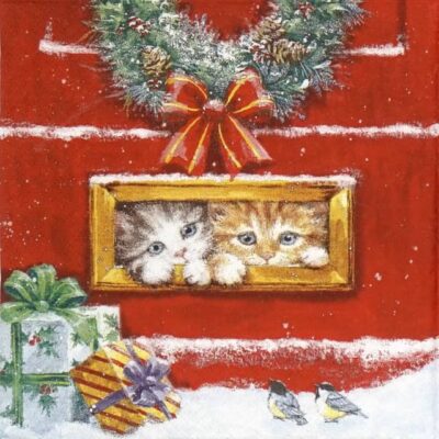 Lunch Napkins (20) - Letterbox Talk