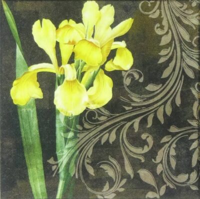 Lunch Napkins (20) - Iris Amarillo Black
