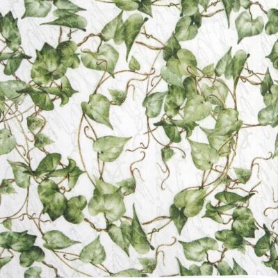 Cocktail Decoupage Napkin - Green Ivy Branches