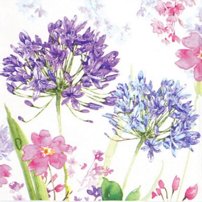 Lunch Napkins (20) - Purple Agapanthe