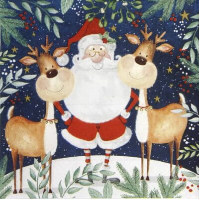 Lunch Napkins (20) - Santa & Funny Reindeer