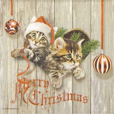 Cocktail Paper Napkin - Curious Kittens