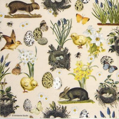 Single Decoupage Napkin - Easter Time