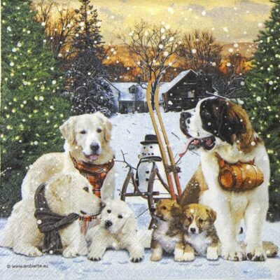 Single Paper Napkin - Posing Dogs